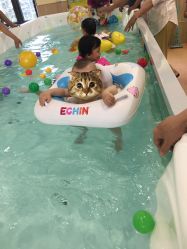 -爱乐婴童水育早教中心·儿童游泳中心(田园商业广场店)