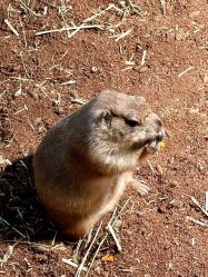 -Zoolung Zoolung动物主题公园(海信广场店)