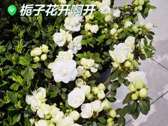 -盒马鲜生(189购物中心店)