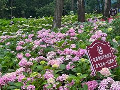 -临平公园(临平街道)