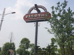 iphone_upload_pic-自贡恐龙博物馆