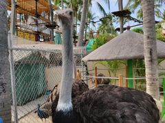 -三亚亚龙湾天域度假酒店