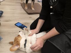 -浣熊柯尔鸭土拨鼠·电玩咖
