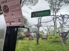 -武汉动物园