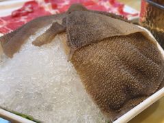 -清真军邺·金富苑肥牛(石坡街旗舰店)