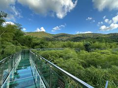 -陶祖圣境风景区