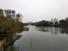 -新江湾城公园