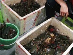 -凤凰路何眼镜香辣蟹(花果园店)