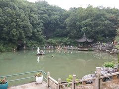 -陶祖圣境风景区