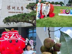 -深圳大学(丽湖校区)