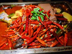 -探鱼·鲜青椒爽麻烤鱼(番禺万达店)