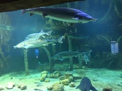 -华夏文旅海洋公园