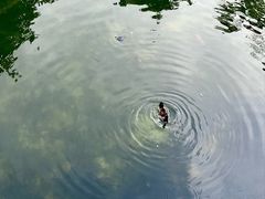 -四海公园(南山区)