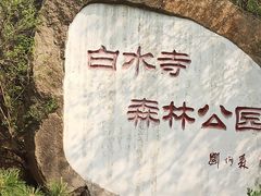 -白水寺森林公园