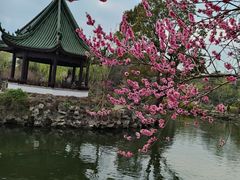 -无锡蠡湖国家湿地公园-蠡园