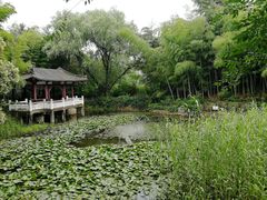 -求雨山文化公园