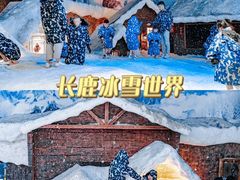 -长鹿旅游休博园