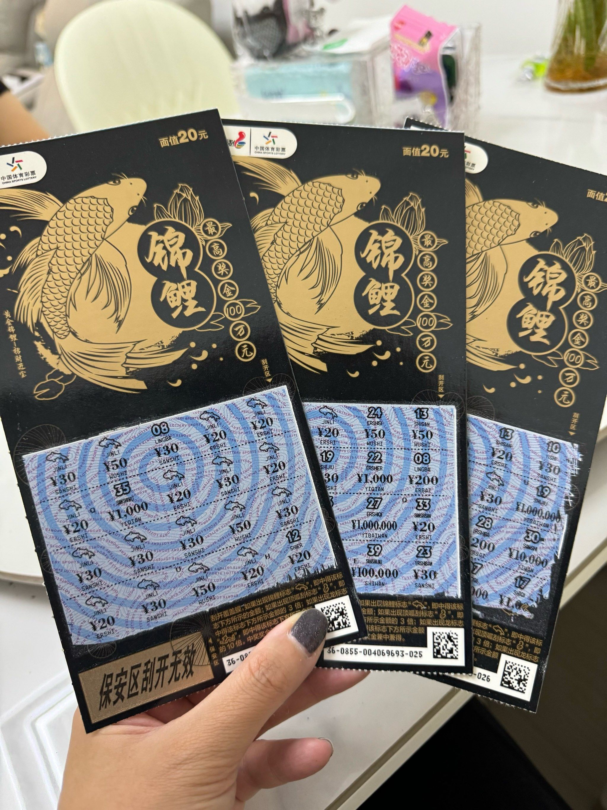 黑锦鲤来啦