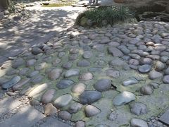 -成都市活水公园