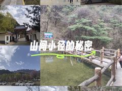 -王顺山国家森林公园