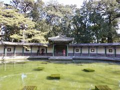 -香山公园