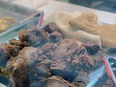 -王浩儿纪六孃甜皮鸭(乐山总店)