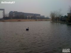 -同济大学(嘉定校区)