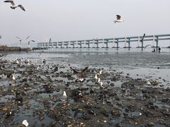 -黑石礁公园