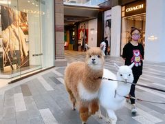 -海底捞火锅(老城根店)