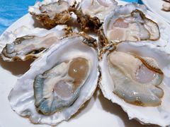 -千岛蚝高压锅生蚝·人参火锅(白云万达店)