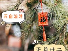 -苏启渔港(云南北路店)