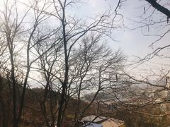-云龙山