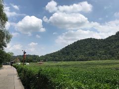 -野蔓果·山野菜(西湖景区·龙井茶田店)