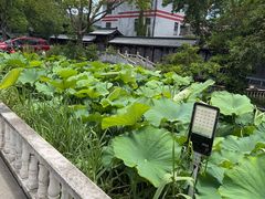 -龚家花园农家乐休闲别墅