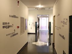 -北京大学赛克勒考古与艺术博物馆