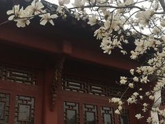 -长春观