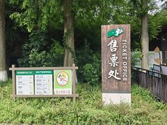 -黄海国家森林公园