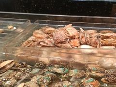 -浩运海鲜·16年专注青岛菜(石老人店)