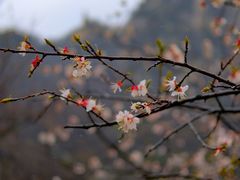 -秦岭终南山世界地质公园翠华山景区