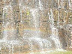 -海南热带野生动植物园