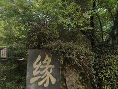 -惠山国家森林公园
