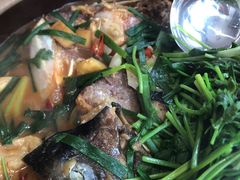 -九道菜有鸡鱼头(石鼓路店)