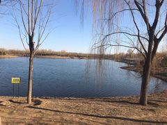 -东郊湿地公园