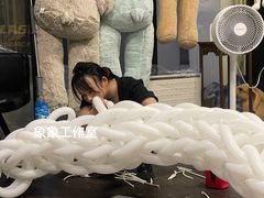 -深圳国际会展中心希尔顿酒店(前海华发冰雪世界店)