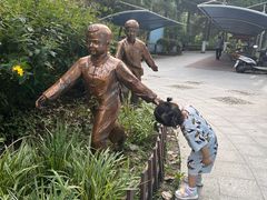 -合肥滨湖国家森林公园