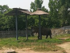 -西安秦岭野生动物园