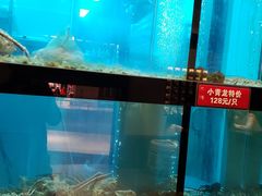 -吟松日式料理(莘庄店)