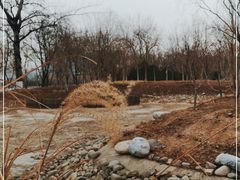-莲花池公园