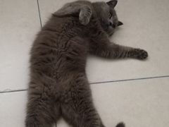 -云上珍野生菌(兴仁店)