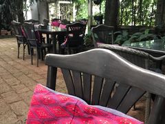 -Fern Forest Cafe